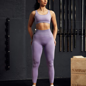 ADAPT 2.0 Seamless Leggings - Lilac Pursue Fitness 2